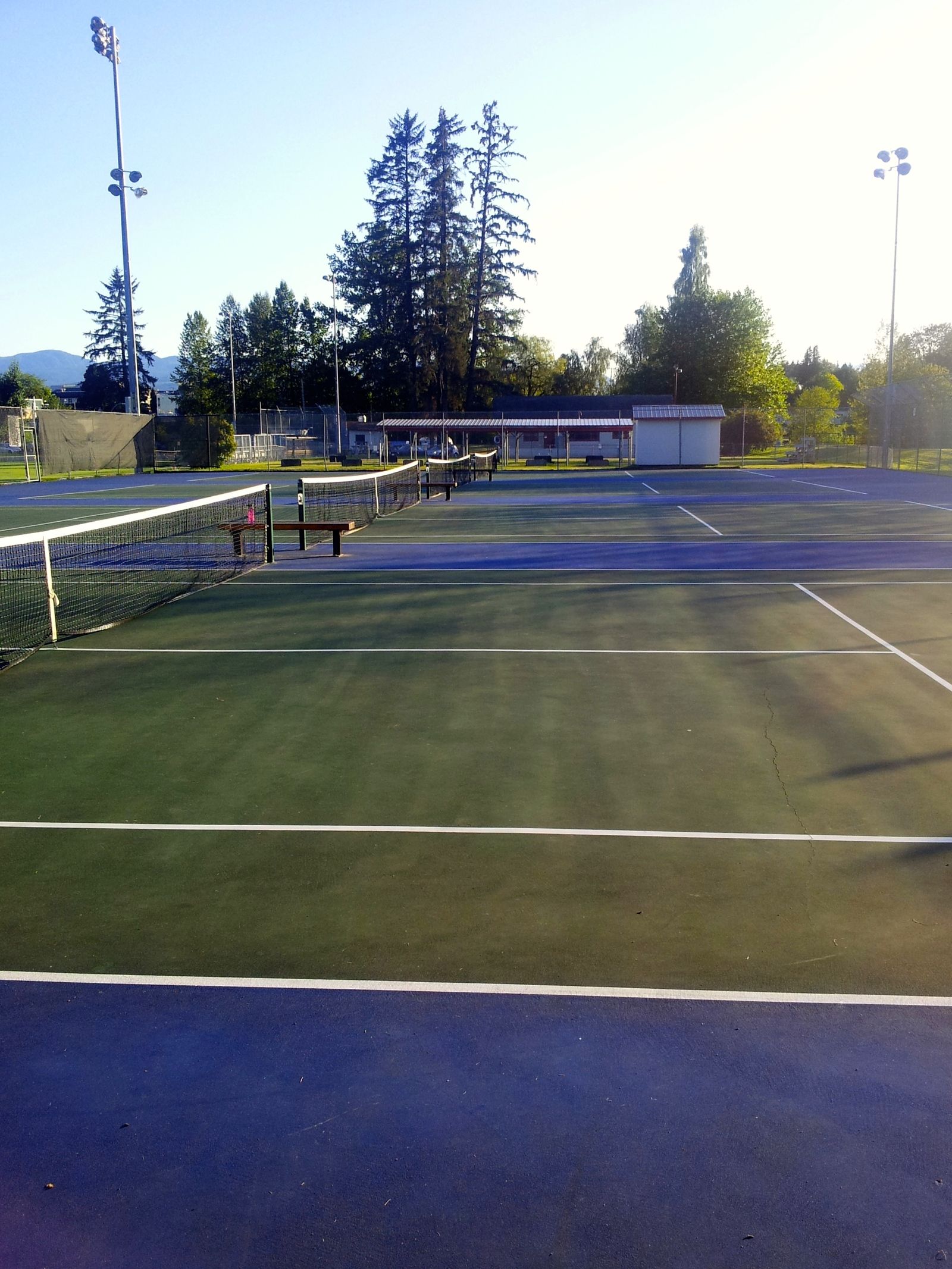 tennis-tourist-lewis-tennis-courts-courtenay-vancouver-island-bc-teri-church