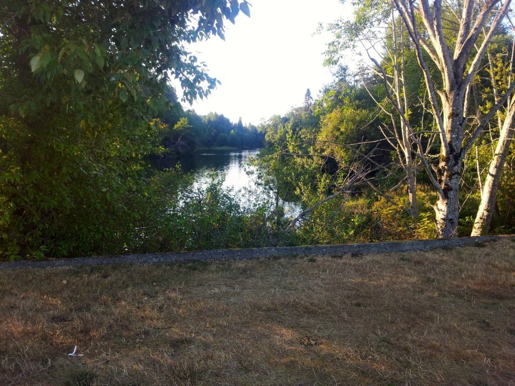 tennis-tourist-courtenay-bc-lewis-park-puntledge-river-view-from-bank-teri-church
