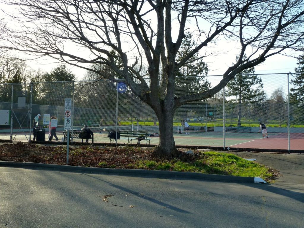 tennis-tourist-beacon-hill-park-tennis-court-oak-trees-teri-church