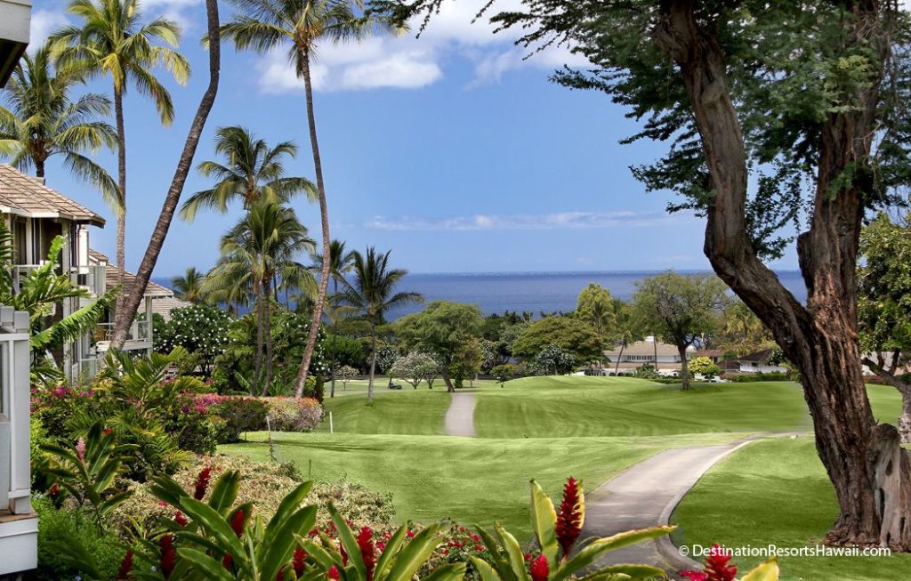 the-tennis-tourist-Maui-Wailea-Grand-Champions-gardens