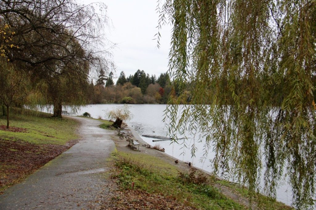 tennis-tourist-vancouver-lost-lagoon-weeping-willow-teri-church